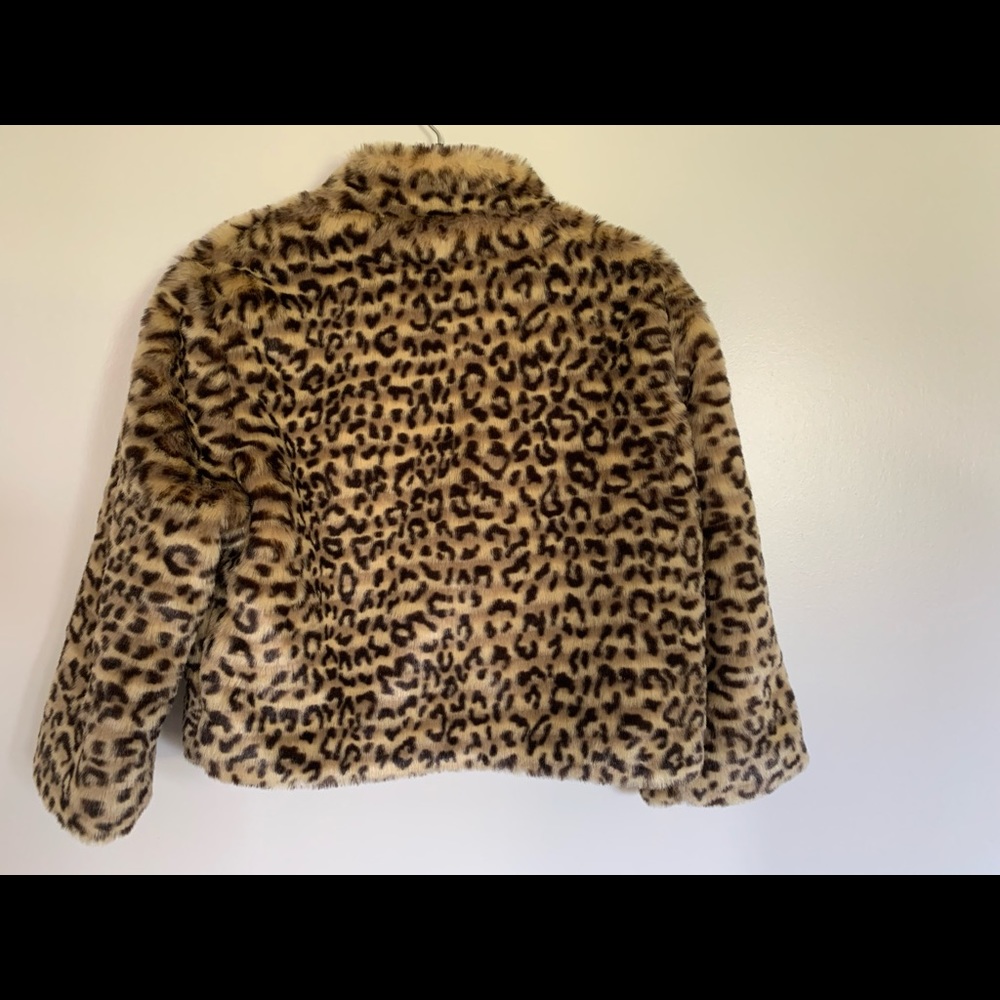 Jacket - Picture 2 of 5